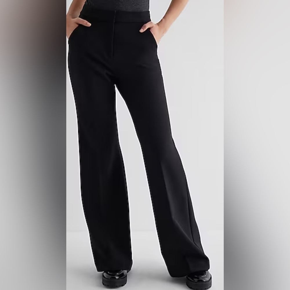 Express Slacks/Trousers